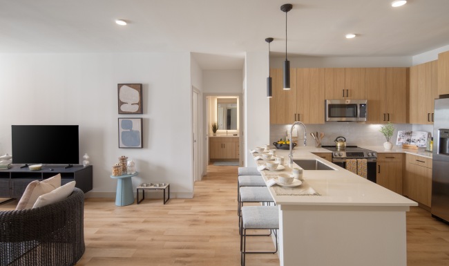 Living Room and kitchen with bathroom in the back 